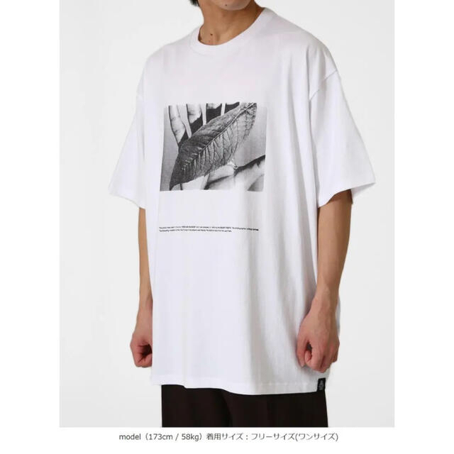 1LDK SELECT(ワンエルディーケーセレクト)のGraphpaper POET MEETS DUBWISE Tシャツ メンズのトップス(Tシャツ/カットソー(半袖/袖なし))の商品写真