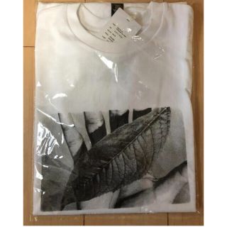 ワンエルディーケーセレクト(1LDK SELECT)のGraphpaper POET MEETS DUBWISE Tシャツ(Tシャツ/カットソー(半袖/袖なし))