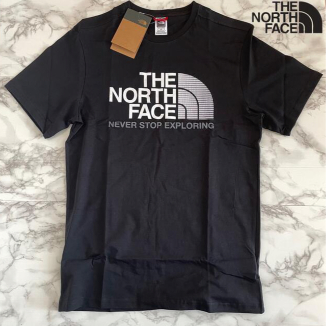 THE NORTH FACE(ザノースフェイス)の【日本メンズM相当】海外限定✨ノースフェイス✨Tシャツ メンズのトップス(Tシャツ/カットソー(半袖/袖なし))の商品写真