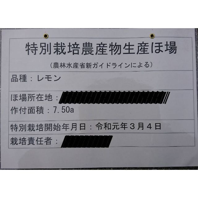 無農薬！広島県大崎下島産　特別栽培レモン１キロ 食品/飲料/酒の食品(フルーツ)の商品写真