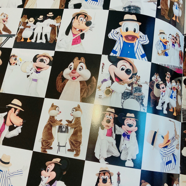 ミッキーマウス(ミッキーマウス)の【新品】ミッキー  実写　写真集 エンタメ/ホビーのおもちゃ/ぬいぐるみ(キャラクターグッズ)の商品写真