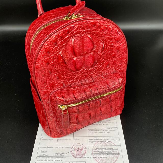 3個セット・送料無料 【本物保証・オーダー品】 ◇シャム クロコダイル