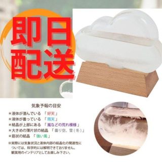 自然派オブジェ 茶谷産業 ストームクラウド 気象観測(置物)