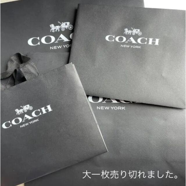 COACH(コーチ)のコーチ　ショッパー　ショップ袋　coach レディースのバッグ(ショップ袋)の商品写真