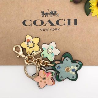 コーチ バッグ ワイルドフラワーの通販 38点 | フリマアプリ ラクマ