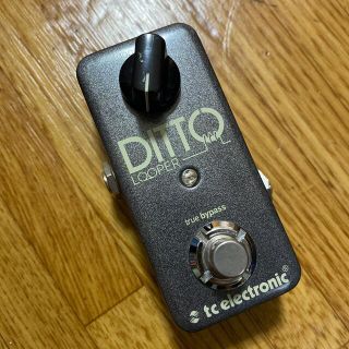 エフェクター(EFFECTOR)のTC ELECTRONIC Ditto Looper(エフェクター)