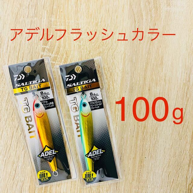 DAIWA タングステン製メタルジグ ソルティガ TGベイト 100g ×2本