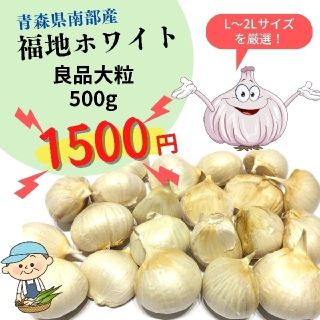 青森県産 にんにく 福地ホワイト 大粒 500g(野菜)