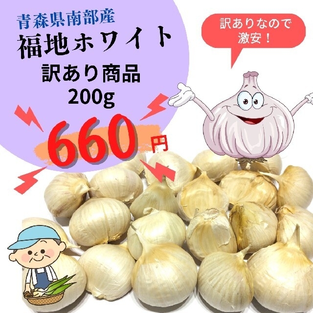 激安価格の 1kg れんこん 茨城県産 蓮根 堀り取り当日発送⑨ tyroleadership.com