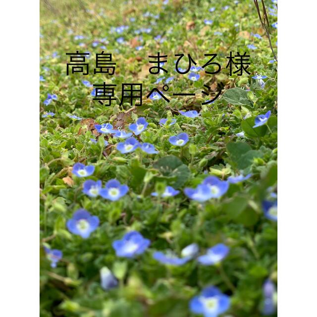 高島 まひろ様 専用ページ | フリマアプリ ラクマ