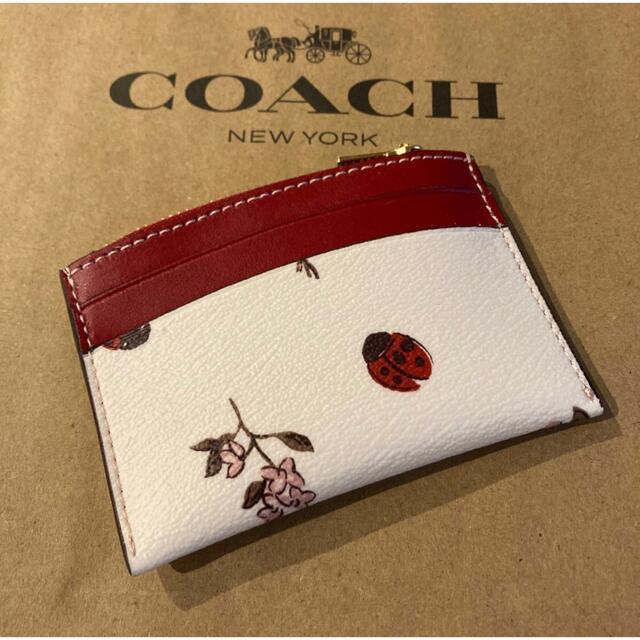 コーチ 新品 コインケース 定期入れ 花柄 フラワー 高い品質 ogawask.com