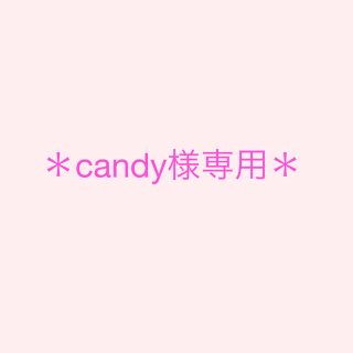 ザラ(ZARA)の＊candy様専用＊(ロングワンピース/マキシワンピース)