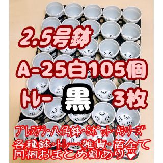 プラ鉢2.5号【A-25】105個+専用システムトレー黒3枚スリットプレステラ多(プランター)