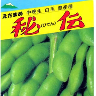 晩生種であるが大莢で香り・甘さの３拍子揃った枝豆の王様。 野菜種6個(野菜)