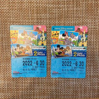 ディズニー(Disney)の未使用　ディズニーリゾートライン　チケット　2day(遊園地/テーマパーク)