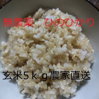 無農薬ひのひかり玄米5kg(米/穀物)
