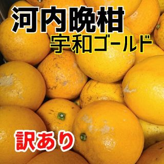 愛媛産【農家直送】☆河内晩柑☆ 訳あり 10ｷﾛ箱(フルーツ)