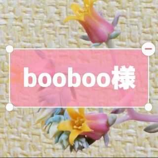 booboo様(その他)