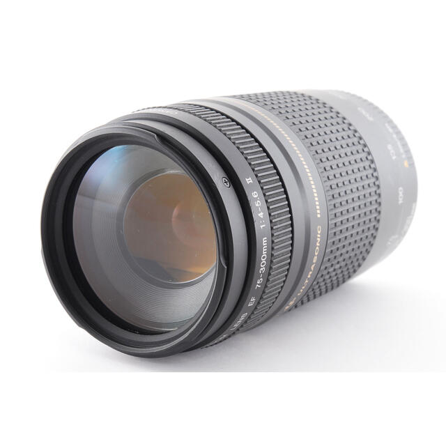 キャノン Canon EF 75-300mm F4-5.6 II USMの通販 by ネコ's shop|キヤノンならラクマ - ☆極上品☆ キヤノンCanon ≆カメラ - balochistan.gov.pk キャノン Canon EF 75-300mm F4-5.6 II USMの通販 by ネコ's shop|キヤノンならラクマ - ☆極上品☆ キヤノンCanon ≆カメラ - balochistan.gov.pk