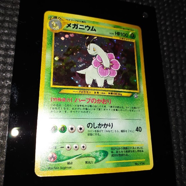 ポケモン - 1999年発売 プレミアムファイル 旧裏 ポケモンカード ポケモン - 1999年発売 プレミアムファイル 旧裏 ポケモンカード