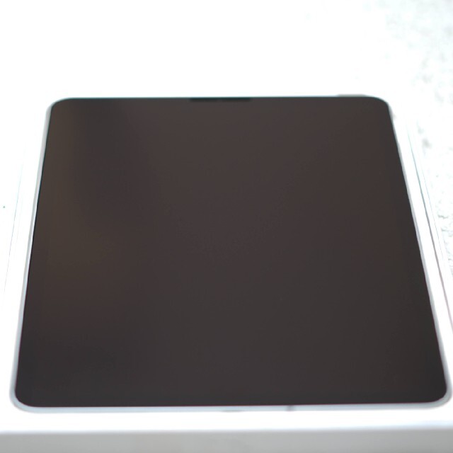 iPad Pro 11インチ 第1世代 1TB セルラー シルバー