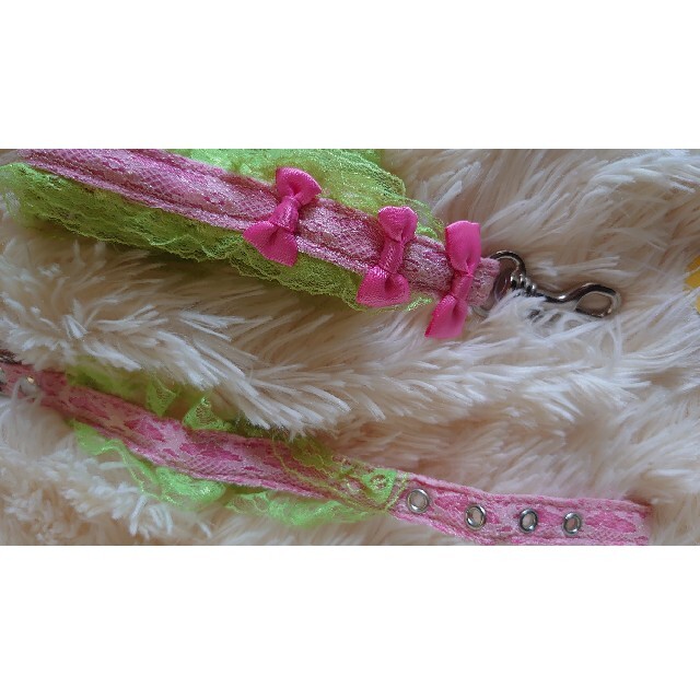 パートン リード カラー 首輪 フリル レース ピンク 黄緑 その他のペット用品(犬)の商品写真