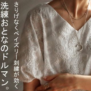 アンティカ(antiqua)の[アンティカ]ペーズリー刺繍トップス(カットソー(半袖/袖なし))