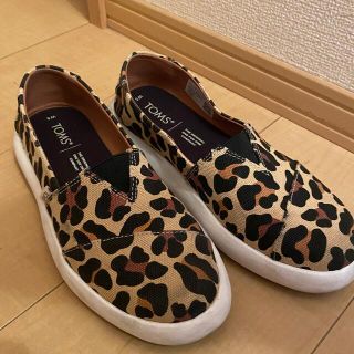 トムズ(TOMS)のTOMSレオパードスリッポン(スリッポン/モカシン)