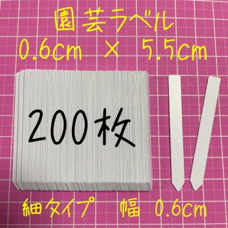 多肉植物に☺︎ 園芸用　ネームラベル　200枚(その他)