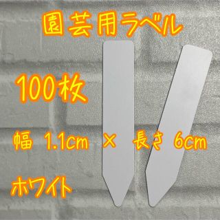 多肉植物に☺︎ 園芸用　ラベル　ネームラベル　ホワイト(その他)