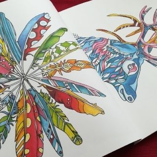 ダーウェント】「塗り絵本」「アカデミー ウォーターカラーペンシル24
