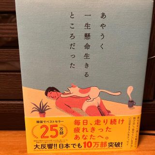 あやうく一生懸命生きるところだった(その他)