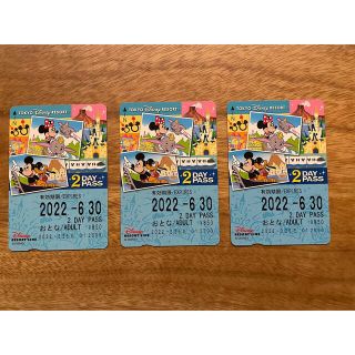 ディズニー(Disney)のディズニーリゾートライン 2dayパス(遊園地/テーマパーク)