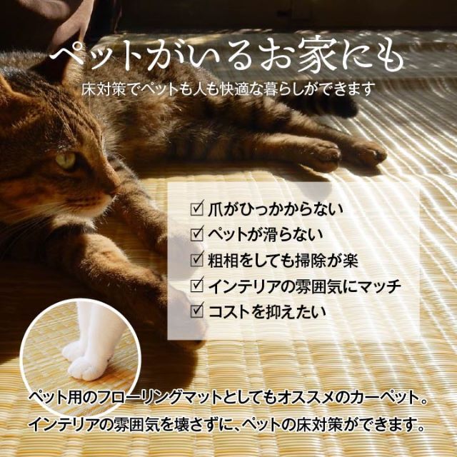 日本製 洗える PPカーペット ネイビー江戸間4.5畳 約261×261cm