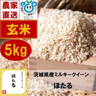 プチプチもちもちのお米　茨城県産ミルキークイーンほたる5㎏【玄米】(米/穀物)