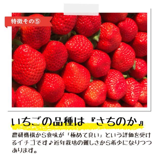 ★両方食べたい人に★「ぷち苺」「さら苺」3ｘ3カップ 練乳付き 食品/飲料/酒の食品(フルーツ)の商品写真