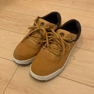 ティンバーランド(Timberland)の【値下げ】ティンバーランド　Timberland with Ortholite(スニーカー)