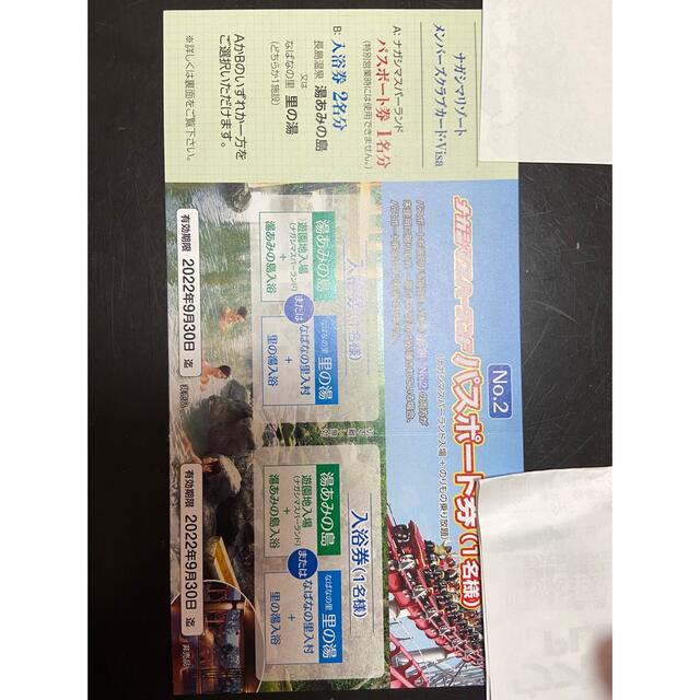 ナガシマスパーランド　パスポート券　2022年9月期限 チケットの施設利用券(遊園地/テーマパーク)の商品写真