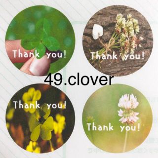 49.clover【thank you シール48枚】(カード/レター/ラッピング)