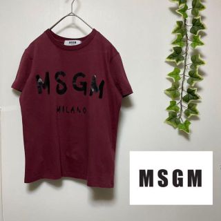 エムエスジイエム(MSGM)のMSGM エムエスジーエム　カットソー　Tシャツ　ロゴ　ワインレッド　ミラノ(Tシャツ(半袖/袖なし))