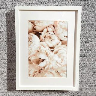 サラグレース(Sarah Grace)の[新品]華やか！インテリアウォールアート　Peony キャンバスアート(アート/写真)