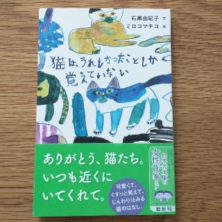 猫は、うれしかったことしか覚えていない(その他)