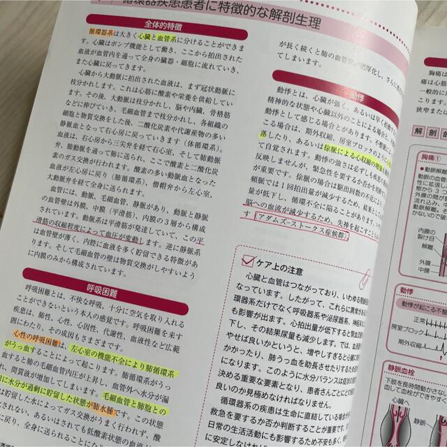 やりなおしの解剖生理 エンタメ/ホビーの本(健康/医学)の商品写真