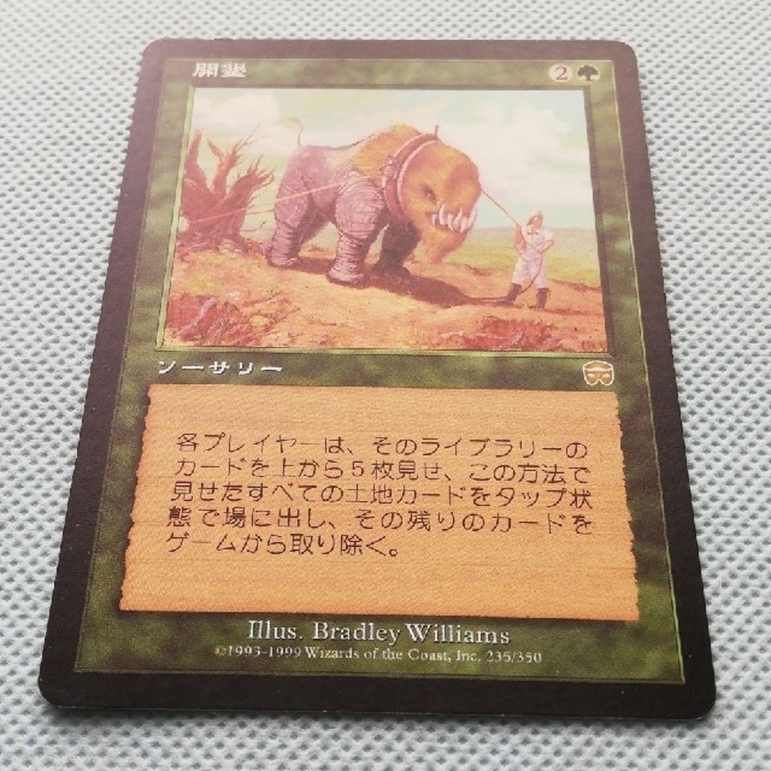マジック:ザ・ギャザリング - 【MTG】メルカディアンマスクス版 マジック:ザ・ギャザリング - 【MTG】メルカディアンマスクス版