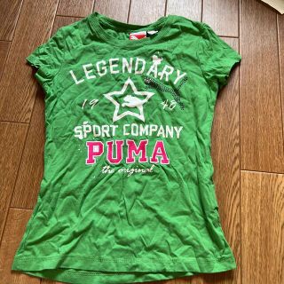 プーマ(PUMA)のkids シャツ(Tシャツ/カットソー)