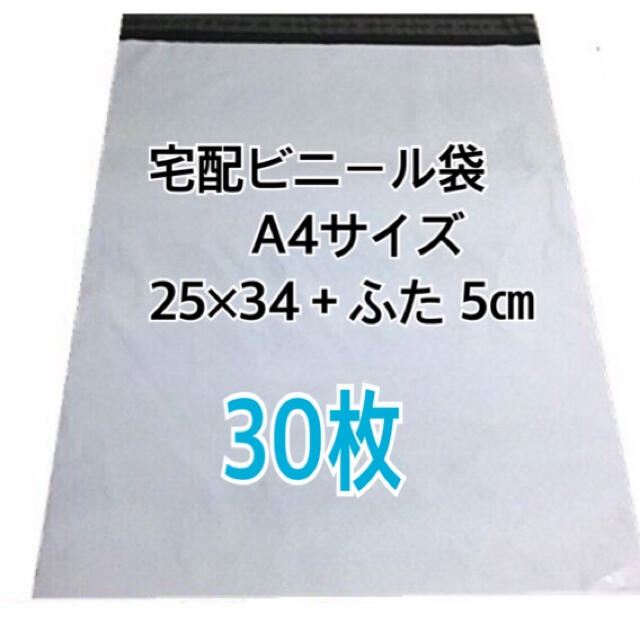 本店 チャック付きポリ袋 a3 30