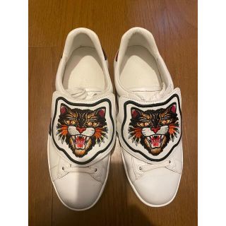 Gucci   グッチ タイガー スニーカーの通販 by ひまわり's shop