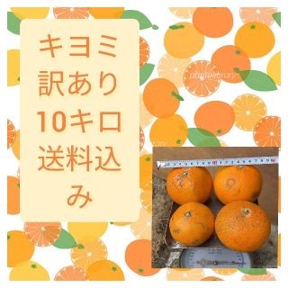 訳あり 清見 キヨミ 10キロ 送料込み(フルーツ)