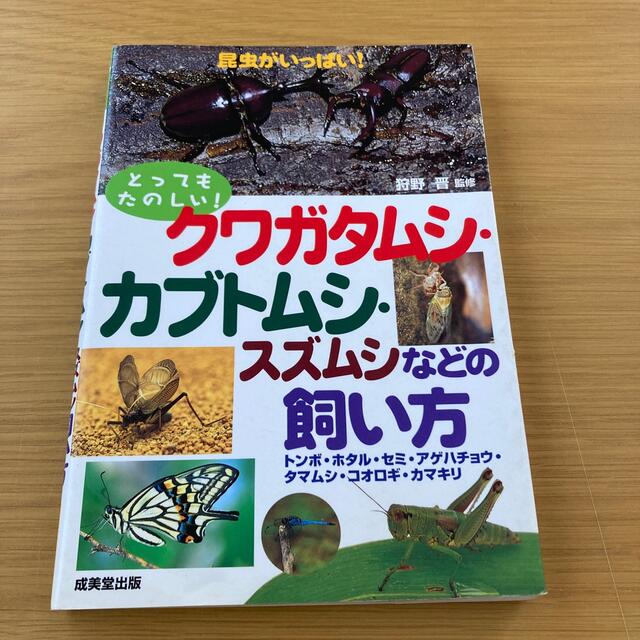 クワガタムシ・カブトムシ・スズムシなどの飼い方 トンボ・ホタル