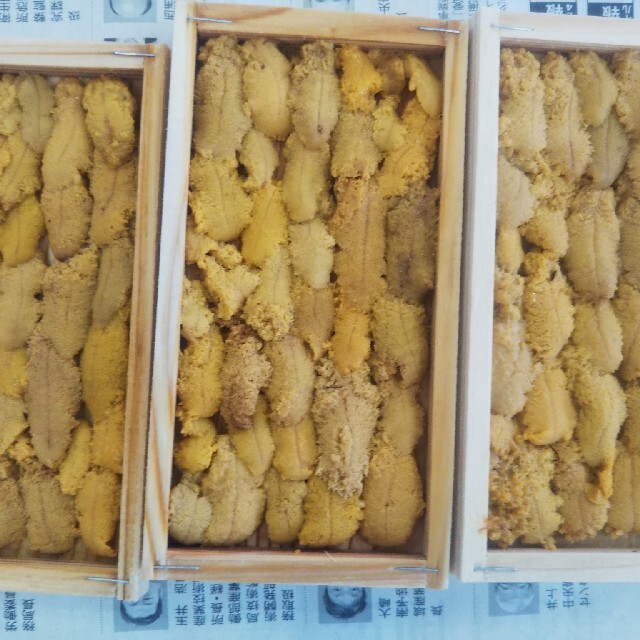 雑誌で紹介された なたろうさま専用4月16日地元でとれたてムラサキウニ10枚セット 魚介 雑誌で紹介された なたろうさま専用4月16日地元でとれたてムラサキウニ10枚セット 魚介